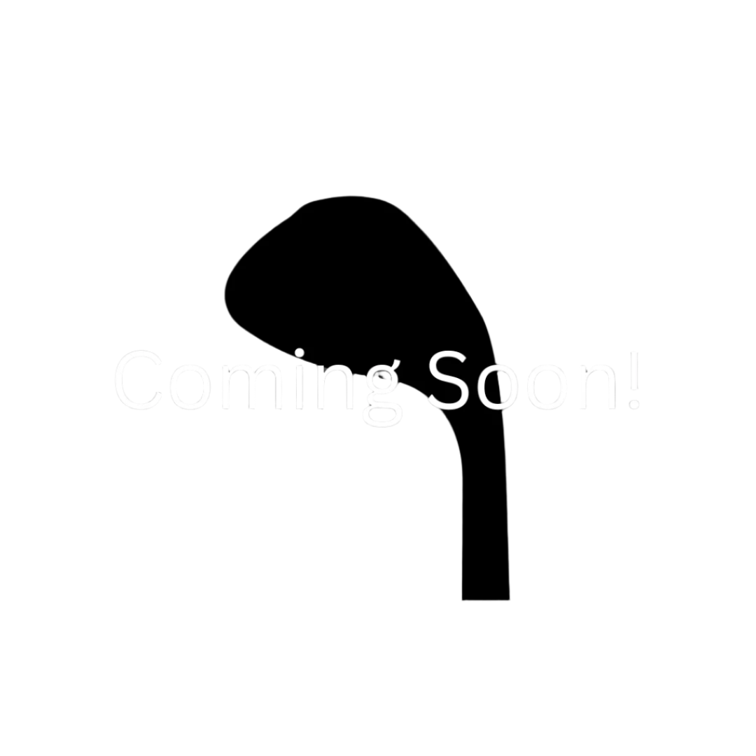 Founder's Rome Aurum Wedge